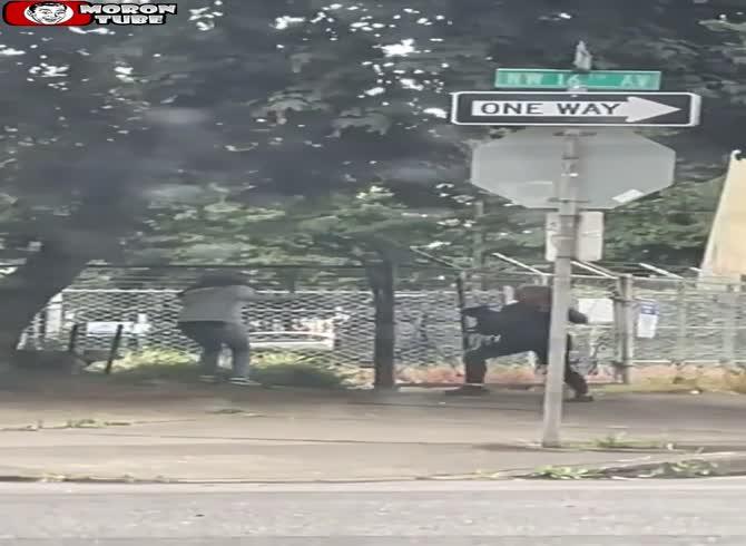 Video :Woman walking dog attacked by madwoman with hammer